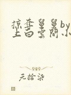 掠夺舅舅by远上白云间小说免费阅读笔趣阁封面