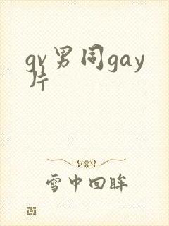 gv男同gay片封面