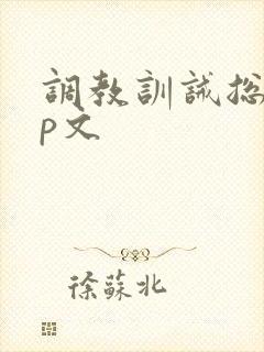 调教训诫总裁sp文