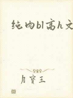 纯肉bl高h文