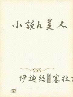 小说h美人