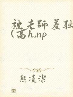 被老师羞耻调教(高h,np封面