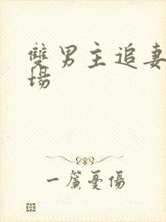 双男主追妻火葬场