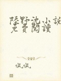 陆野沈小说全文免费阅读