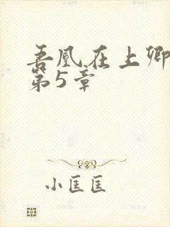 吾凰在上卿在下第5章
