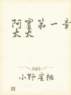 阿宾第一章房东太太