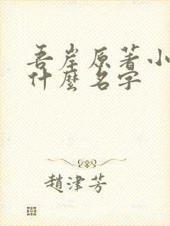 吾岸原著小说叫什么名字