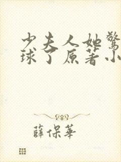 少夫人她惊艳全球了原著小说