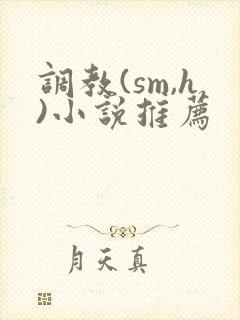调教(sm,h)小说推荐