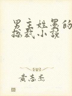 男主姓墨的霸道总裁小说