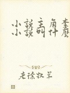 小说主角李耀的小说叫什么封面