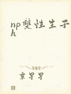 np双性生子高h