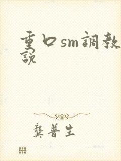 重口sm调教小说封面