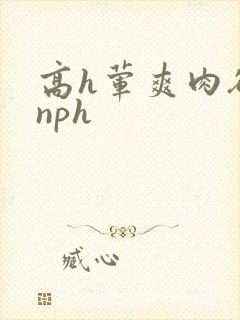 高h荤爽肉欲文nph