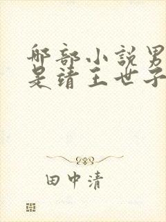 哪部小说男主角是靖王世子