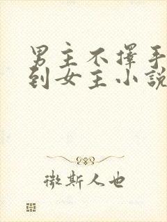 男主不择手段得到女主小说封面