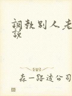 调教别人老婆小说封面
