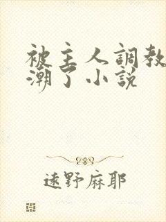 被主人调教到高潮了小说