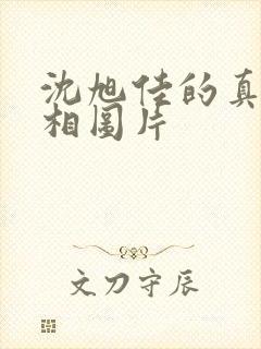 沈旭佳的真实长相图片