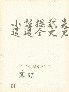 小说总裁夫人很逍遥全文免费阅读