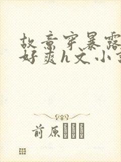 故意穿暴露被强好爽h文小说