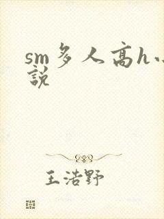 sm多人高h小说