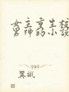 女主重生校园追男神的小说