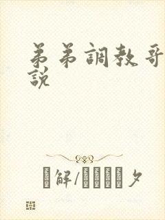 弟弟调教哥哥小说封面