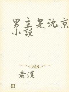 男主是沈京寒的小说封面