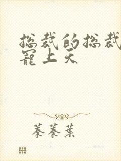 总裁的总裁爹地宠上天