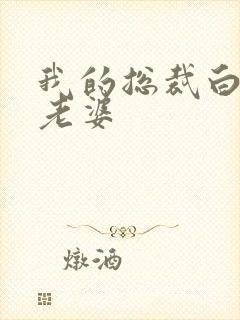 我的总裁白富美老婆