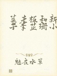 菜老板和新婚妻子李芷珊小说