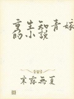 重生知青嫁糙汉的小说