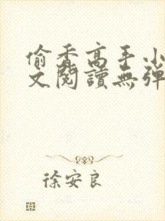 偷香高手小说全文阅读无弹窗