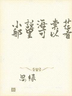 小说海棠花未眠那里可以看