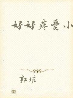 好好疼爱小说