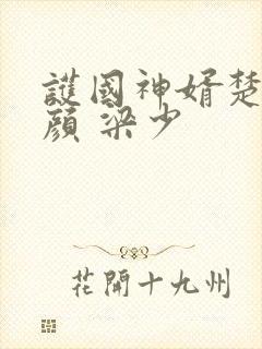 护国神婿楚尘宋颜 梁少