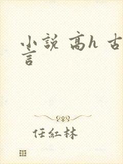 小说 高h 古言