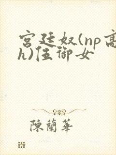 宫廷奴(np高h)伍御女