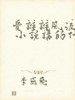 爱谁谁风流书呆 小说讲的什么封面