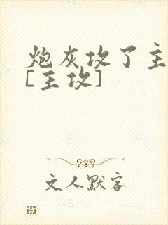 炮灰攻了主角攻[主攻]封面