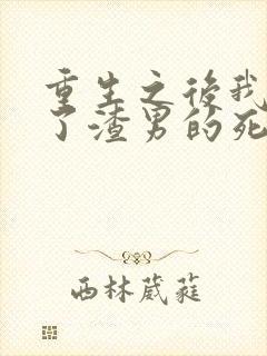 重生之后我嫁给了渣男的死对头