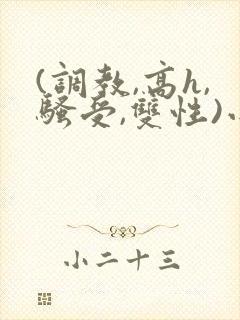 (调教,高h,骚受,双性)小说