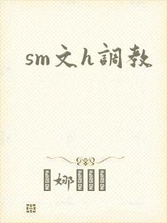 sm文h调教