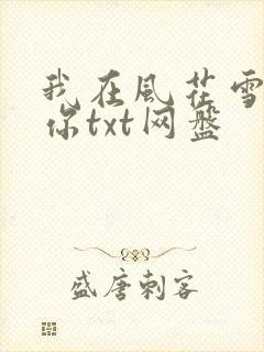 我在风花雪月等你txt网盘