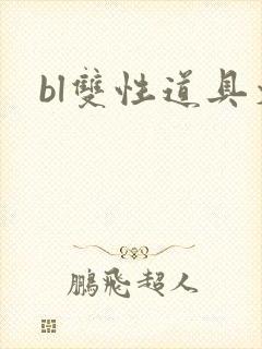 bl双性道具文封面