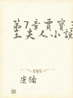 第7章贾宝玉上王夫人小说