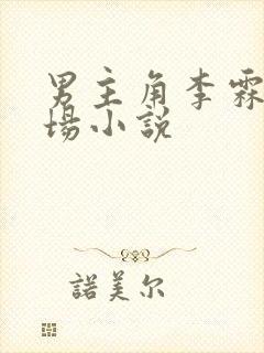 男主角李霖的官场小说