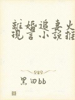 离婚追妻火葬场现言小说推荐