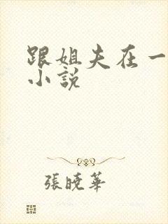 跟姐夫在一起的小说